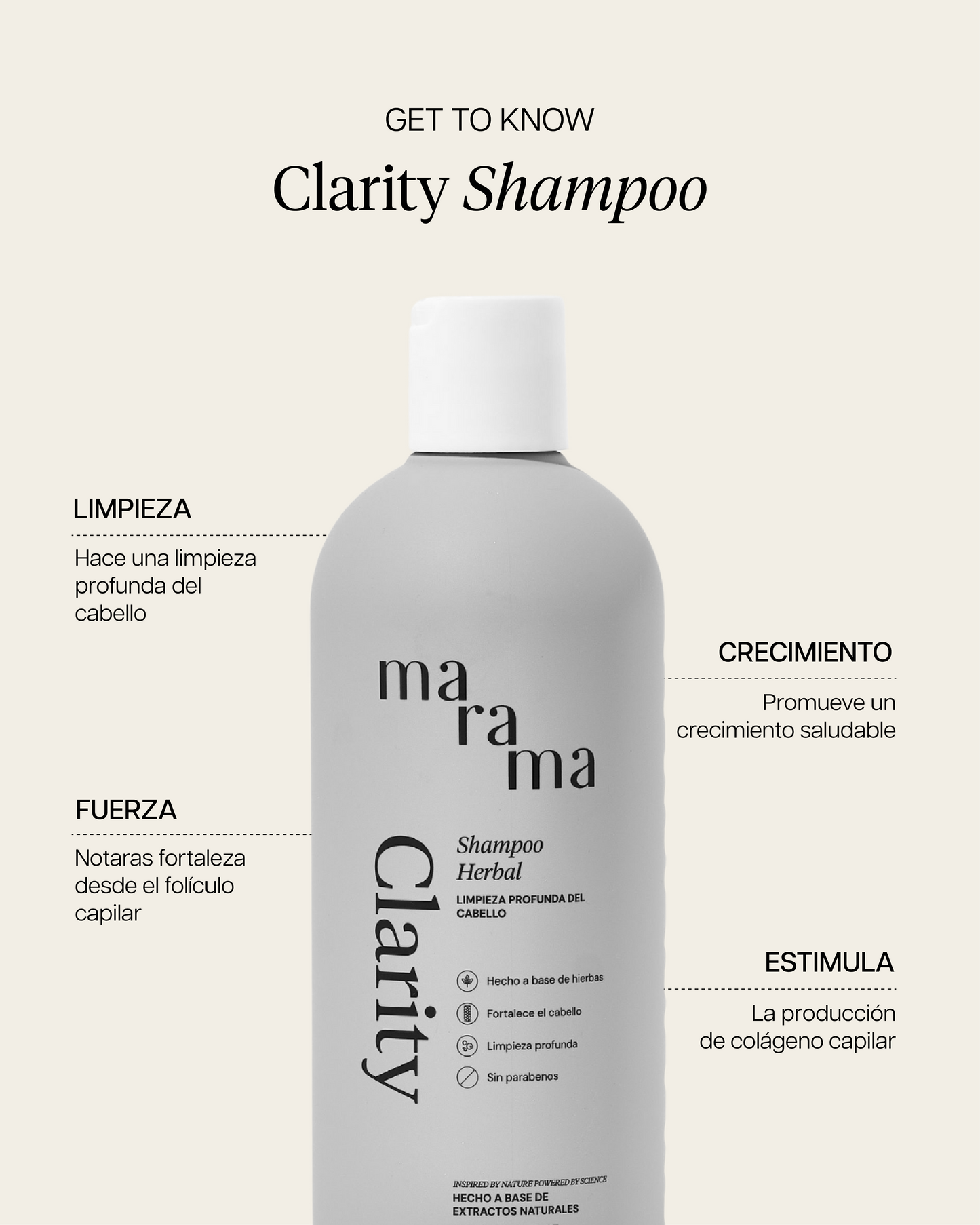 CLARITY SHAMPOO