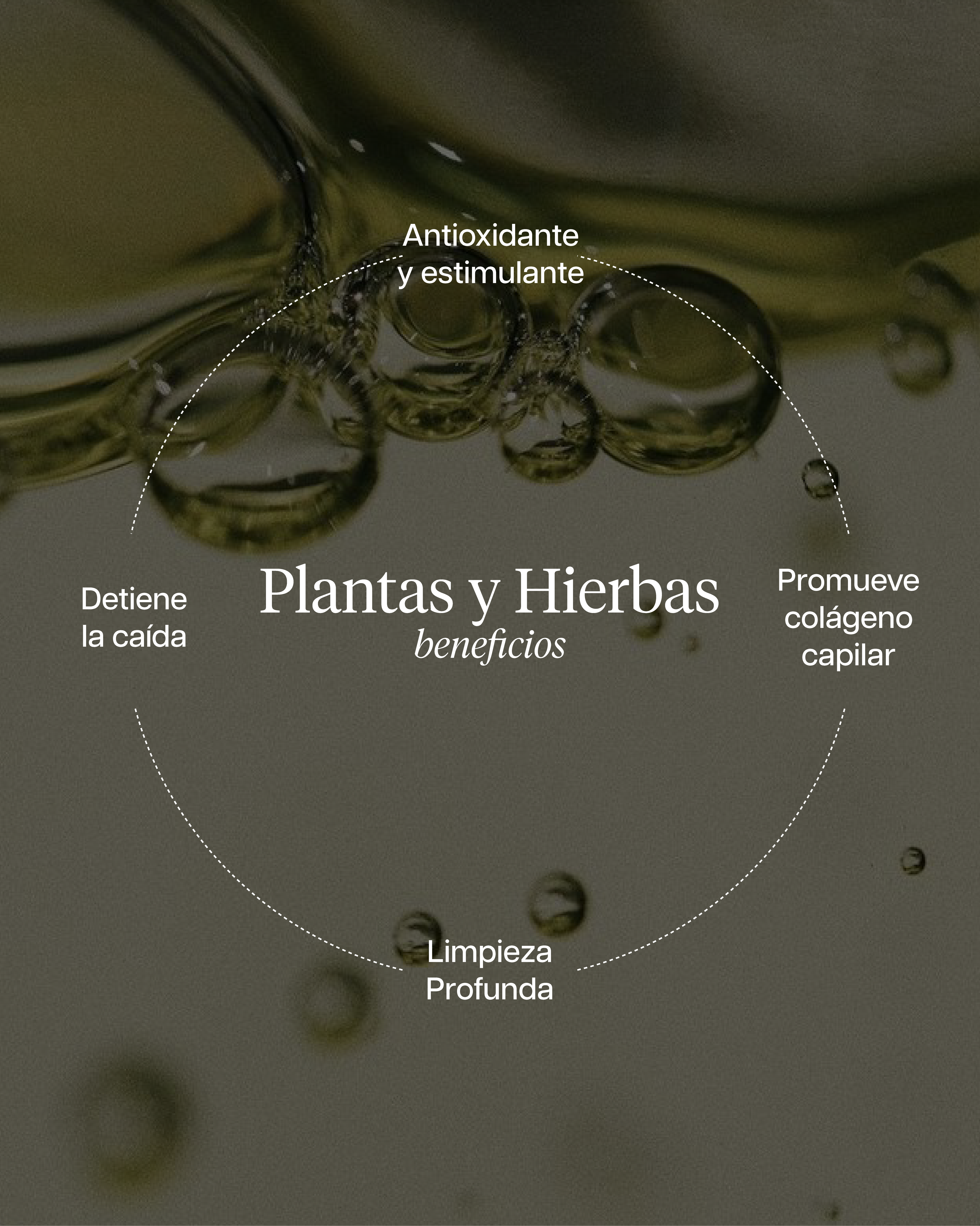 CLARITY KIT