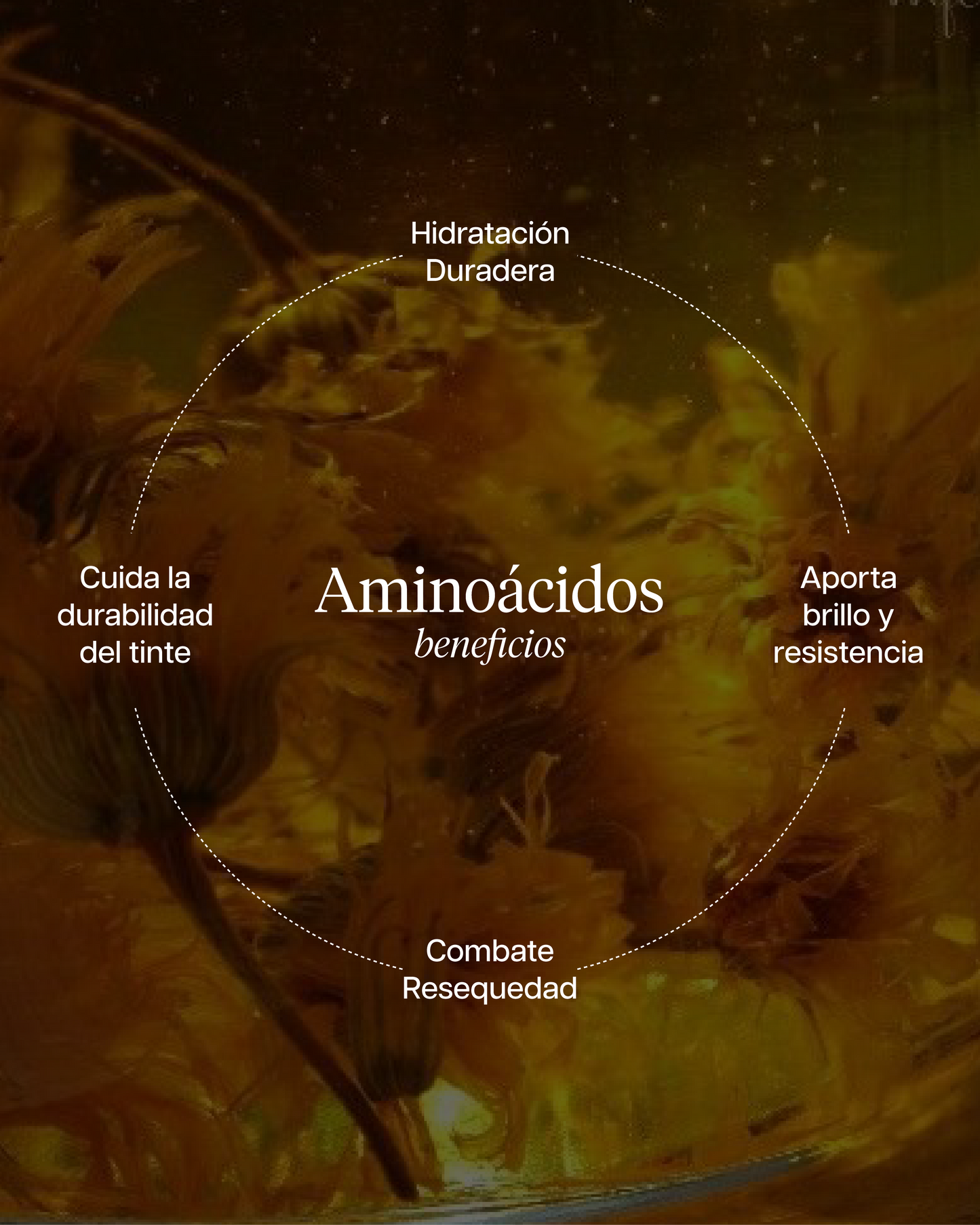 PROTECT ACONDICIONADOR