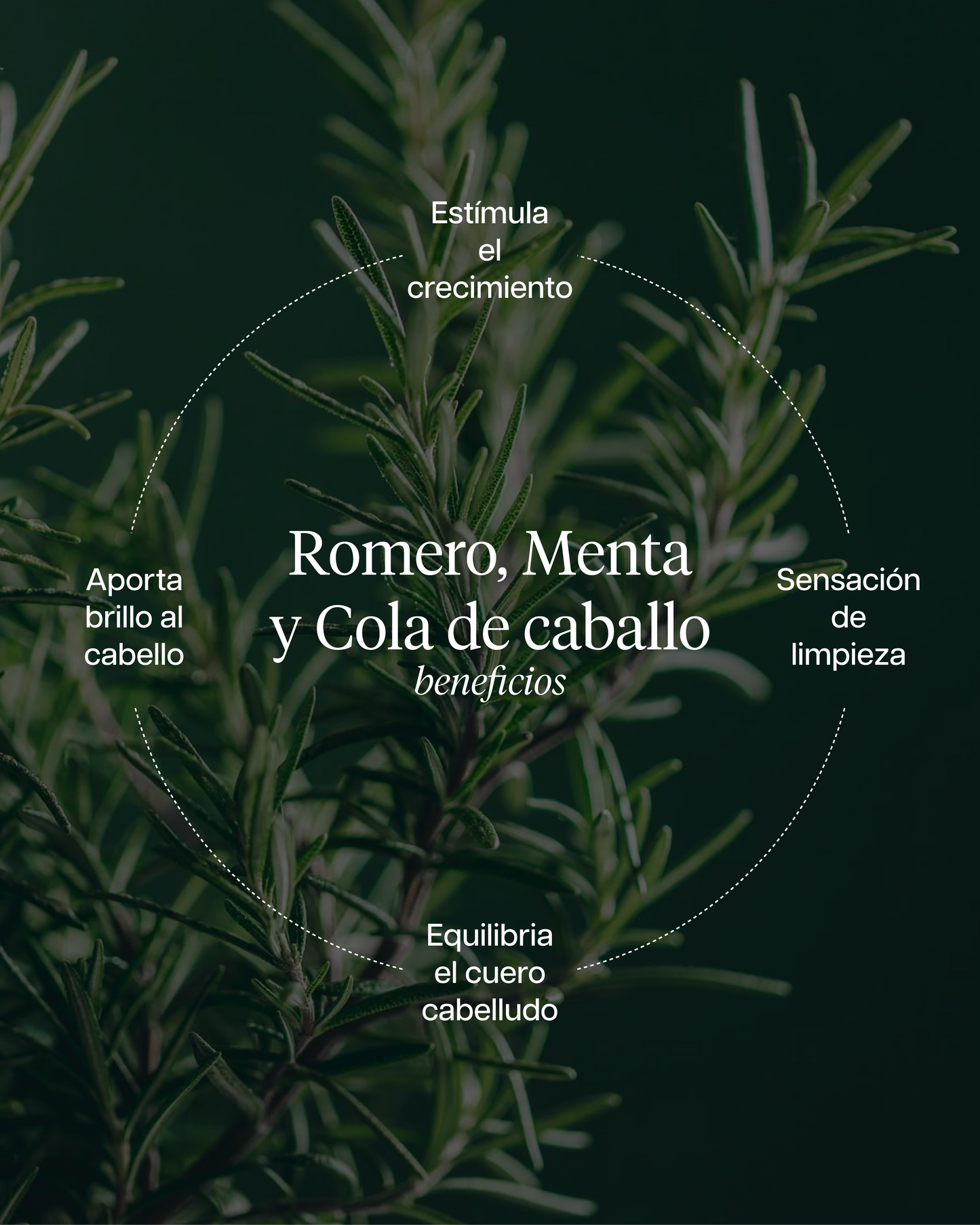 RECONSTRUCTOR CAPILAR REVIVAL